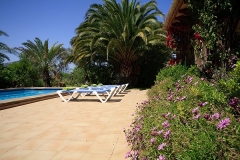 tancotes-023