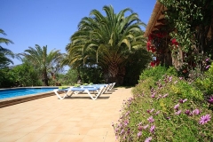 tancotes-024